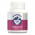 Dorwest Raspberry Leaf 100 tablet